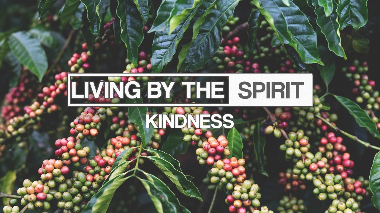 Kindness | Mike Brogen