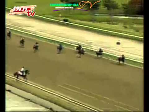 LA RINCONADA 3 CARRERA DOMINGO 30 DE NOVIEMBRE DEL 2014