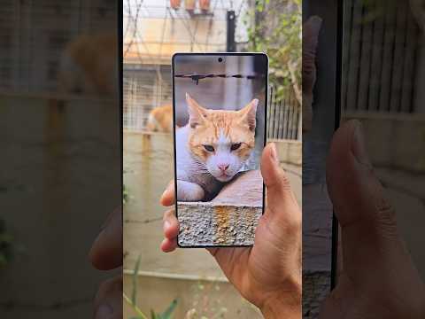 Samsung S25 Ultra Camera Test 🔥