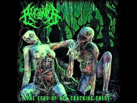 Acranius - Shanty Towns Hooker