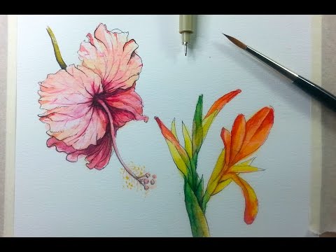 Drawing Painting Hibiscus Flower with Ink Watercolor