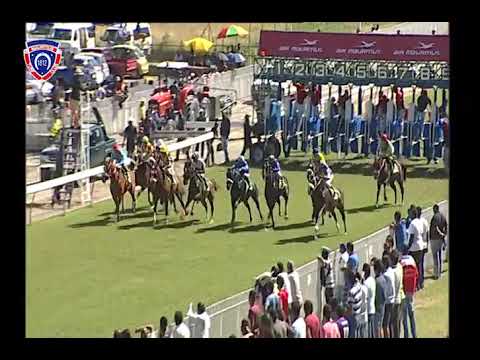 RM11 R1 | Superstitious | C.Gomez