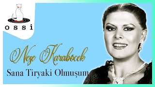 Neşe Karaböcek / Sana Tiryaki Olmuşum