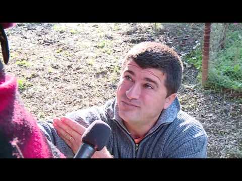 Fiks Fare, 18 Nentor 2016, Pjesa 1 - Investigative Satirical Show