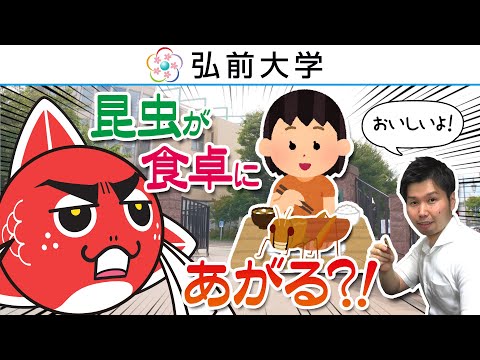 弘前大学バッタ研究室による昆虫食の紹介: 農学生命科学部 管原亮平 先生【2021年9-10月制作】