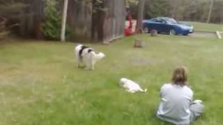 Mason comes to Canada