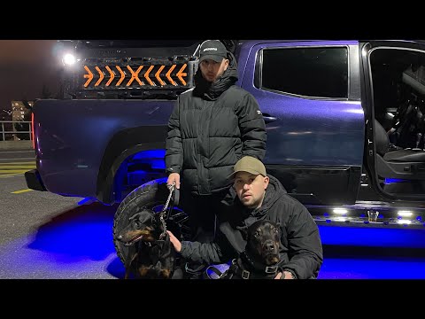 LEVO x NEFO - NE FARK EDER | Official Video