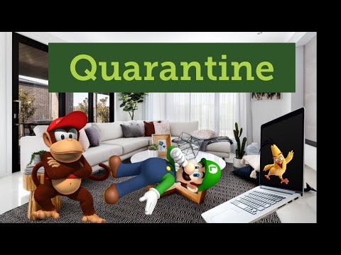 Luigi's Quarantine!