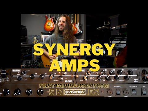 Synergy SYN-5050 Rack Mount All-Tube Power Amp 2017 - Black image 9
