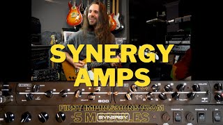 Video thumbnail for Synergy SYN2/SYN5050  - First Impressions by Leon Todd