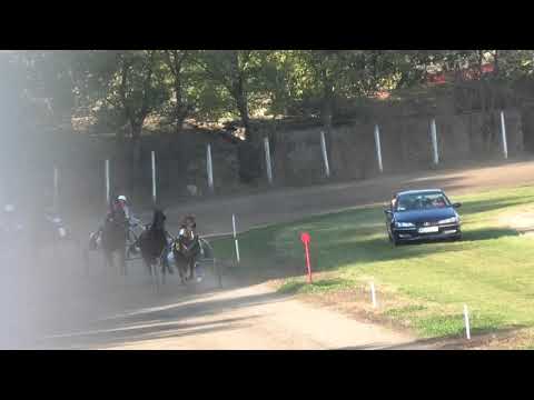 Trka "Memorijal Đorđe Pridraški" 31.10.2021 Play the Game - Vladimir Pribić