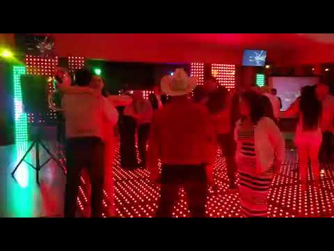 MI GUSTO ES, EL SAUCE Y LA PALMA Y EL SINALOENCE