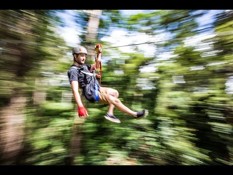 TreeTop Challenge - Sunshine Coast