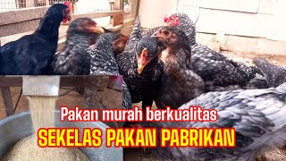 Download lagu CARA MEMBUAT PAKAN MURAH PROTEIN TINGGI. SEMUA BISA . mp3 Download lagu CARA MEMBUAT PAKAN MURAH PROTEIN TINGGI. SEMUA BISA . mp3