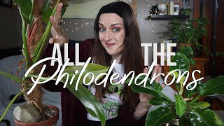 Philodendron Deep Dive Part One | Vlogmas Ep03
