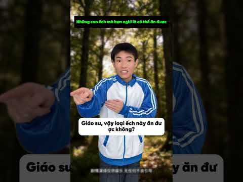 Những con ếch mà bạn nghĩ là có thể ăn được! - Lim Cheems #hoathinh #animation #hoathinhtrungquoc