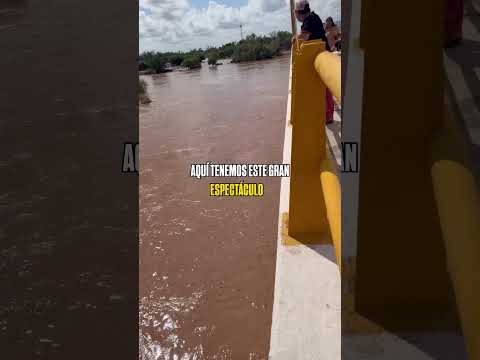 Así Corre el Río Mayo por Efectos del Huracán Polo en Navojoa, Sonora, México. 30-9-2026