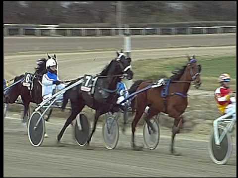 Trotto 31/01/2017 - 2ª corsa