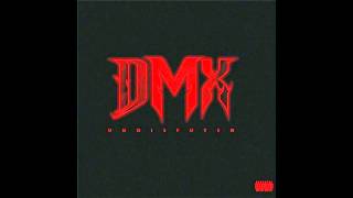 DMX - I&#39;m Back
