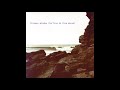 Polygon Window - Surfing On Sine Waves (Full Album - 2017 Reissue)