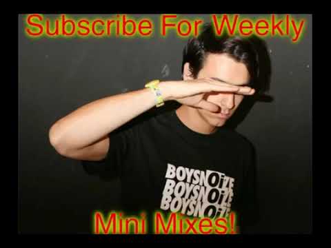 Boys Noize Mini Mix - Annie Mac - BBC Radio 1 (Fanmade)