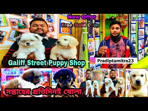 NEW DOG PUPPY SHOP GALIFF STREET PET MARKET | KOLKATA PET SHOP PRICE UPDATE | RECENT PET PRICE
