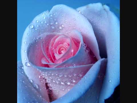 Tajna Veza - Sve će jednom pjesma postati