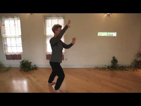 T'ai Chi Yang Style Long Form