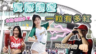 [稱讚] 緯來的企劃越來越有梗了