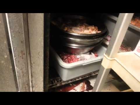 download lagu mp3 mp4 China Nasty Food, download lagu China Nasty Food gratis, unduh video klip China Nasty Food