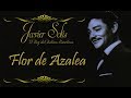Javier Solís Flor De Azalea    Letra
