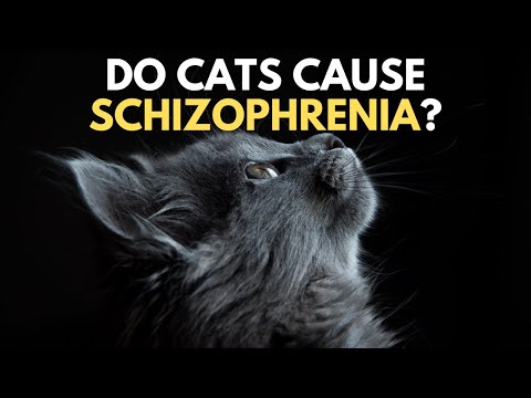 Do Cats Cause Schizophrenia?