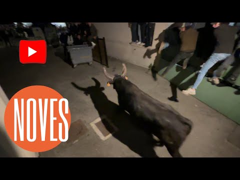 Encierro ➡️ Noves 🇫🇷 03/28/2025 Manade des ALPILLES ⛰️#ferias Bouches-du-Rhône ￼