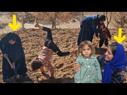 Celines joy in the absence of Saleh and Parvaneh:from planting barley with a pickaxe to cooking in🏞️