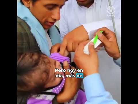 La alimentación es el origen de todo