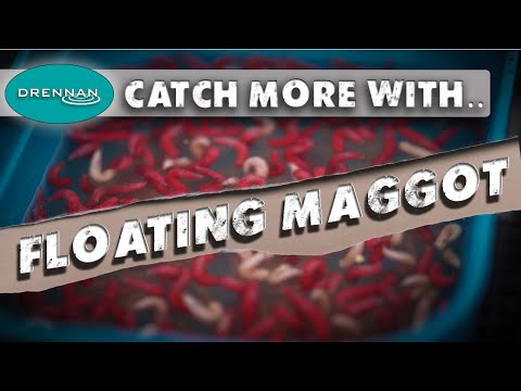 CATCH MORE WITH FLOATING MAGGOTS!