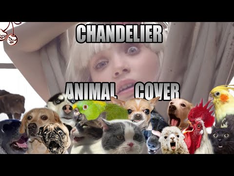 Sia - Chandelier (Animal Cover)