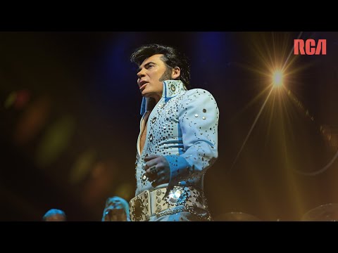 MARK SUMMERS ELVIS - POLK SALAD ANNIE MUSIC VIDEO