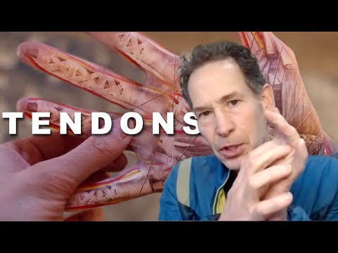 The Science of Tendons and Climbing: Pt 1 with Eric Hörst
