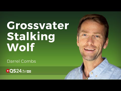 Apache-Medizinmann: die heilende Berührung des Großvaters Stalking Wolf | Darrel Combs | QS24