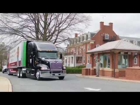 The Delivery
