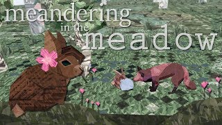Meeting A Friendly Fox! • Meandering Meadow Q&A Series! - Episode #2