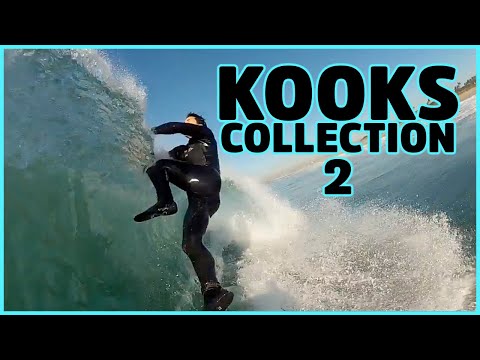 The kooks of the year: They are on the loose and they are as fierce as ever!