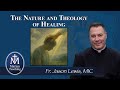 The Nature And Theology Of Healing Marian Teaching Fr Jason Lewis MIC