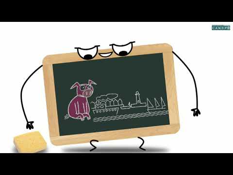 les-homonymes