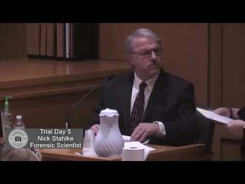 WI v. Chandler Halderson Trial Day 5  Nick Stahlke - Forensic Scientist