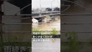 釣りに行けるのはいつなの？😇