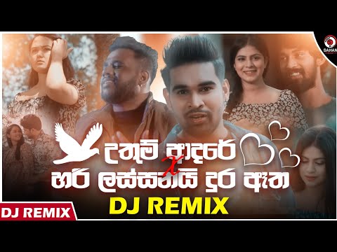 Uthum Adare X Hari Lassanai (Dj Remix) | Sinhala Dj Remix (Dj Savindu Kaveesh) | Dj Remix