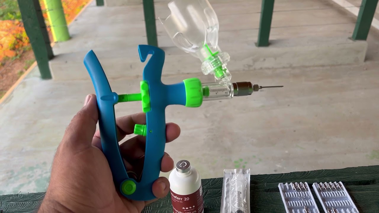 Aplicação de ferro injetável em leitões