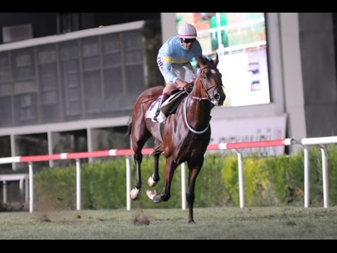 TEMELHAN-İZMİRİN KURTLUŞU KOŞUSU 2014